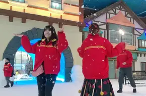 Alpine Snow World Ice Skating Rink