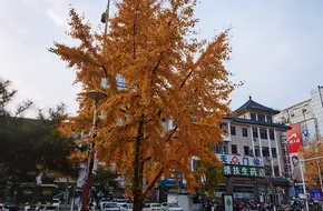 Miyun Dacheng Hall