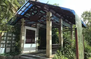Binhai Pearl
