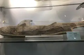 Eastern Geological Museum