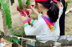 Kowloon Eco-Agricultural Park