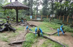 Hangzhou Zoo