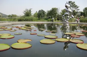 Wetland Botanical Garden