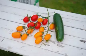 Bai Ouhuan Organic Ecological Farm