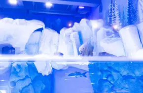 Ice Mountain Arctic Pavilion
