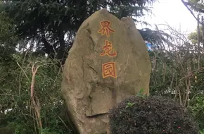 Dragon Boundary Garden