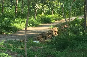 Longyunshan Scenic Area