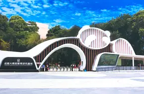 Chengdu Giant Panda Ecological Park Tourism Museum