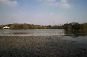 Minhang Sports Park - Jinxiu Lake
