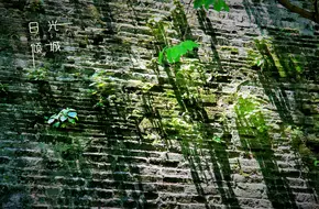 Guangzhou Ancient City Wall