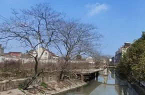 Tai Ri Old Street