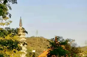 Weituo Bodhisattva