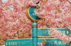 Manhua Manor