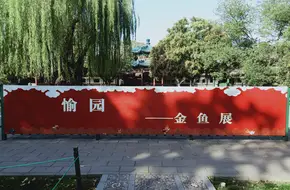 Zhongshan Park Yu Garden