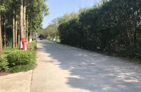Junhe Farm