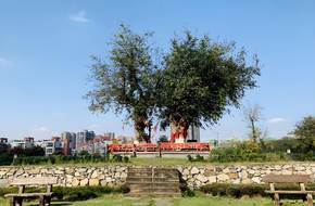 Southern Silk Road Memorial Park