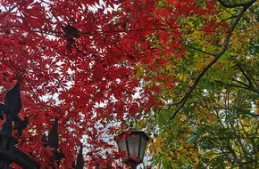 Fudan Journalism School