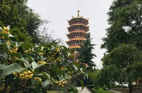 Ten Thousand Buddha Pagoda