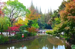 Red Garden