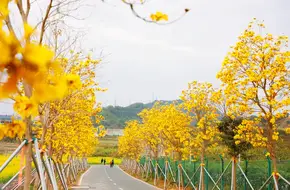 Wei Cai Lan Eco-Farm