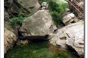 Wuzuolou Forest Park