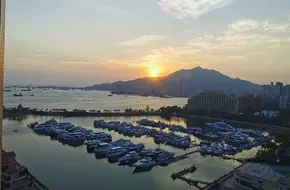 Yacht Harbor
