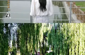 Shanghai Institute Of Visual Arts