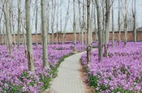 Niukouyu Wetland Park