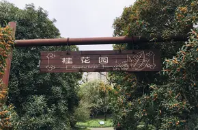 Osmanthus Garden