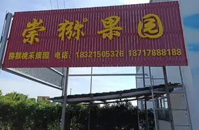 Chong Kiwifruit Orchard