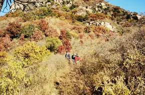 Lupi Pass Great Wall