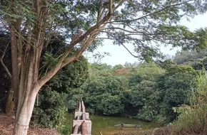 Dalang Greenway Orchard