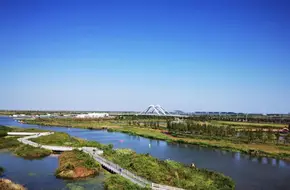 Nanhui New City Spring Flowers And Autumn Colors Park