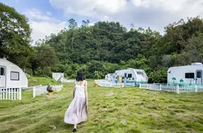 Green Wilderness Countryside Campsite