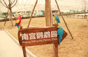 Nangong Tourism Scenic Area