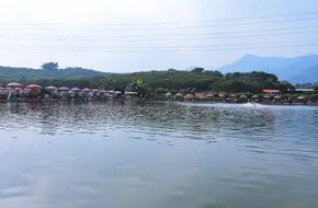 Xili Lingfeng Orchard