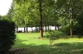 Huajing Park
