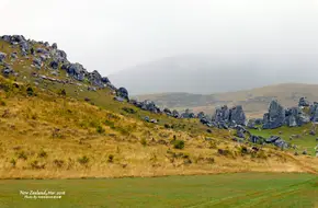 KuraTawhitiCastleHillConservationArea