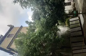 Moon Viewing Tower