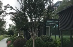 Food Art Park