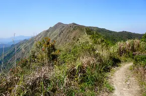 Pat Sin Leng Country Park