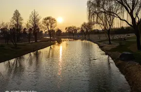 Chen Shan Botanical Garden - Xerophytic Plant Garden