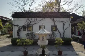 Ancient Vine Garden