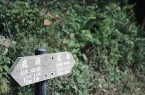 Gupu Village
