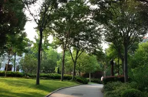 Caoxi Park