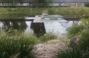 Beijing 12.5 Farm