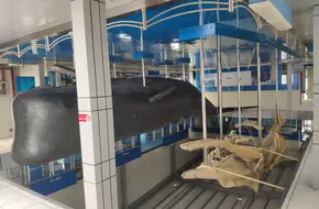 Ocean University Museum