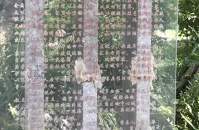 Binhai Pearl