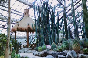 Nanshan Botanic Garden - Greenhouse Exhibition Center