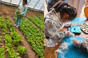 Jinyin Valley Happy Farm